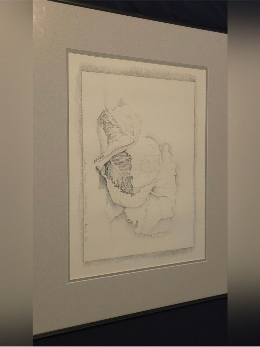4/$97 Deal! Vintage Framed Pencil Botanical Art